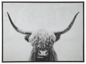 Pancho 48×36