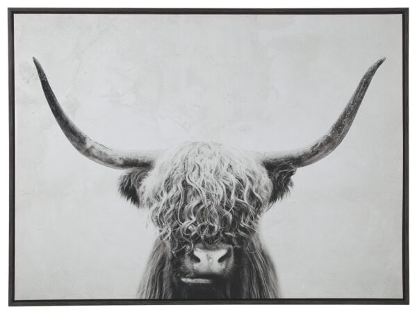 Pancho 48×36