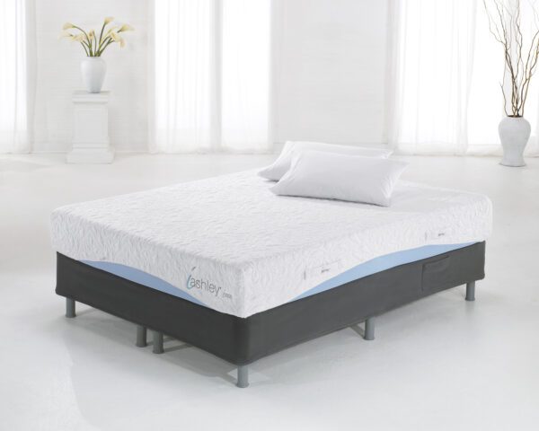 Gold Package - Image 13